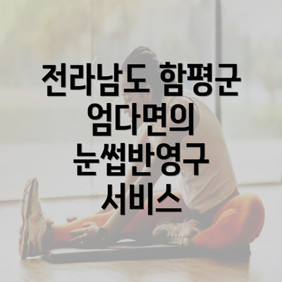 전라남도 함평군 엄다면의 눈썹반영구 서비스