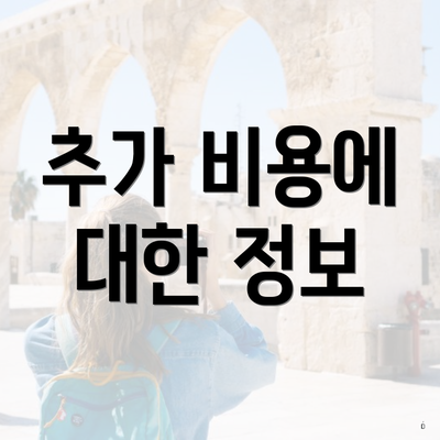 추가 비용에 대한 정보