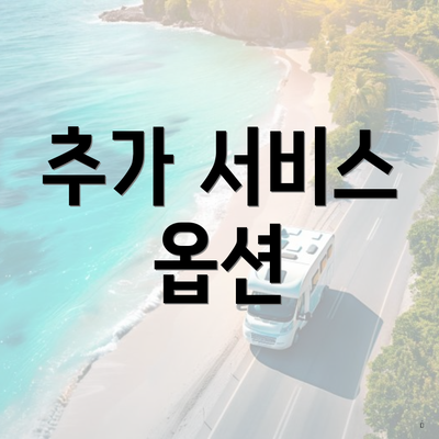 추가 서비스 옵션