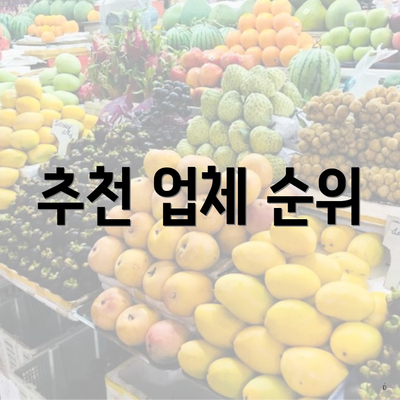 추천 업체 순위