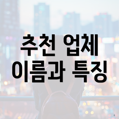 추천 업체 이름과 특징