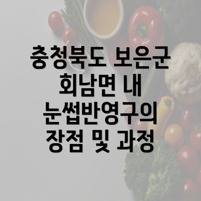 충청북도 보은군 회남면 내 눈썹반영구의 장점 및 과정