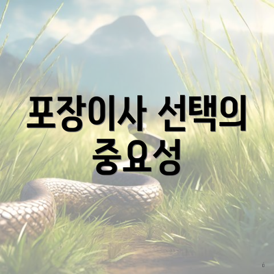 포장이사 선택의 중요성