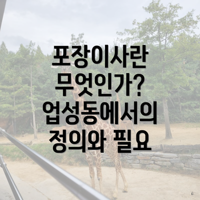 포장이사란 무엇인가? 업성동에서의 정의와 필요