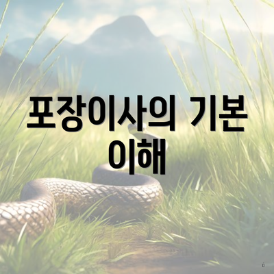 포장이사의 기본 이해