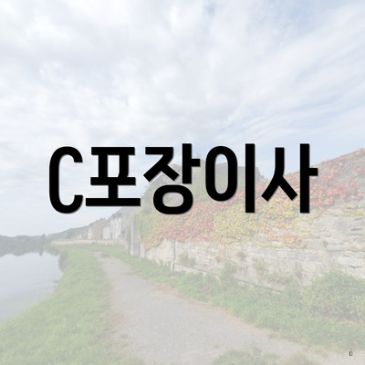 C포장이사