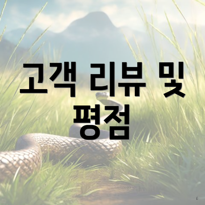 고객 리뷰 및 평점