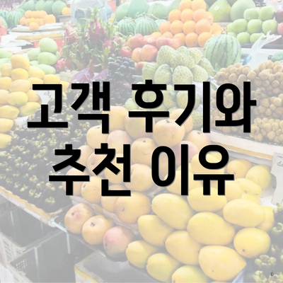 고객 후기와 추천 이유