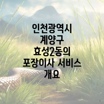 인천광역시 계양구 효성2동의 포장이사 서비스 개요