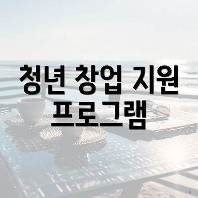 청년 창업 지원 프로그램