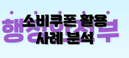 소비쿠폰 활용 사례 분석
