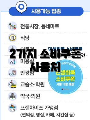 2가지 소비쿠폰 사용처