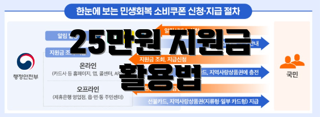 25만원 지원금 활용법