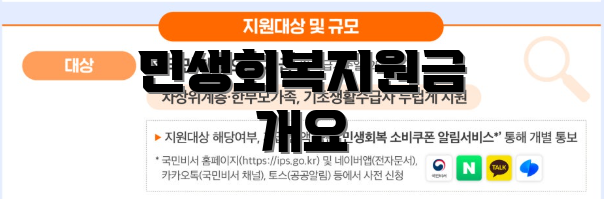 민생회복지원금 개요