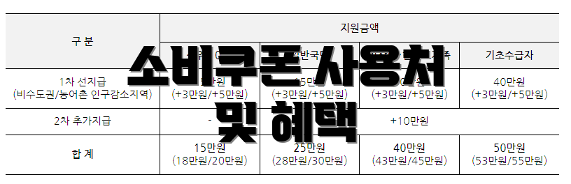소비쿠폰 사용처 및 혜택