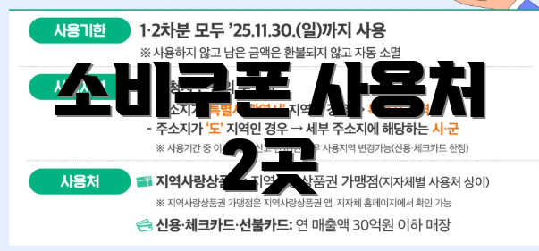 소비쿠폰 사용처 2곳