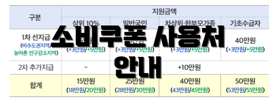 소비쿠폰 사용처 안내