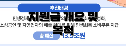 지원금 개요 및 목적