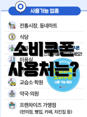 소비쿠폰 사용처는?