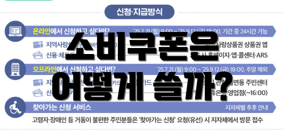 소비쿠폰은 어떻게 쓸까?