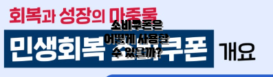 소비쿠폰은 어떻게 사용할 수 있을까?