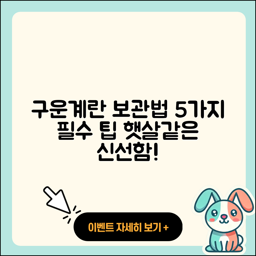 구운계란 보관 방법 5가지 팁
