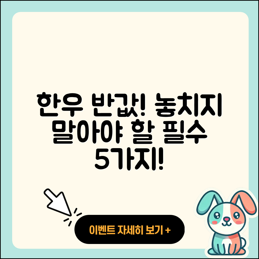 한우 반값 할인행사 놓치지 말아야 할 5가지