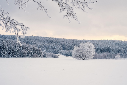 실생활 함정과 즉시 팁