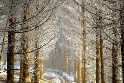 실생활 예시와 빠른 팁