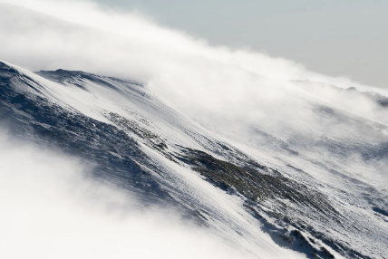 응용 노하우와 조합
