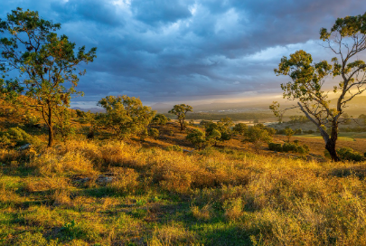 대출 주의사항 응용
