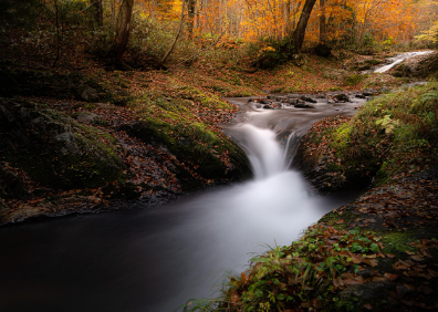 실생활 예시와 즉시 팁