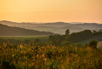 한도 늘리는 방법의 확장 노하우